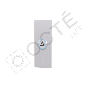 TOPAZ C boite palière inox brossé précâblée 1 bouton